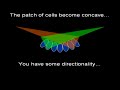 The Theory of Evolution by Natural Selection - The 'Best' Counter-Arguments DEBUNKED. Original video 