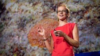 Why I still have hope for coral reefs | Kristen Marhaver