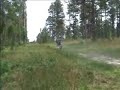 Honda 420 Wheelie