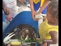 Crab Bite Crab Bite