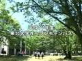 touhoku