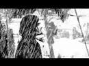 Boxer Rebellion Semi-Automatic Official Music Video and Lyrics