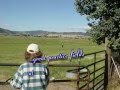 PCV: Trialing Series--Meeker Classic Sheepdog Trial