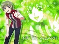 Tribute to Nicol Amalfi