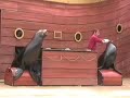 The Greatest Show on Earth, The Sealions The Greatest Show on Earth, The Sealions