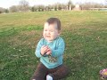 Analiese Crawling