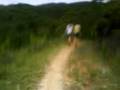 videos de corrida Paranapiacaba