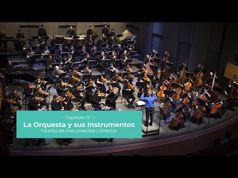 Iniciación Musical | Capítulo 1: La Orquesta y sus instrumentos