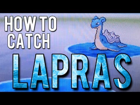 pokemon black pokemon black