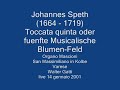 Johannes Speth: Toccata quinta - Walter Gatti a San Massimiliano in Kolbe, Varese
