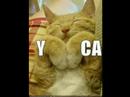 FUNNY PETZZZZZ Icon
