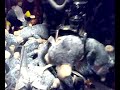 The Claw Machine - Success 9 Ratatouille The Claw Machine - Success 9 Ratatouille