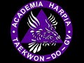 Academia Harpia 2° Manhuaçu Open