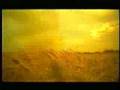 velvet - funzioni primarie