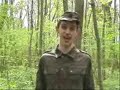 Wizo - Blöd genug für diese Welt Wizo - Blöd genug für diese Welt