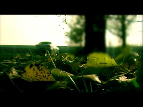 Youtube Video FbNrr0CJMJc