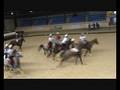 Horseball Oviedo 2008