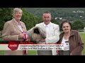 Around the Dog World (Ep 8) - Southern Counties