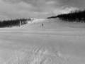 Kjæresten min kjører telemark - Solheisen