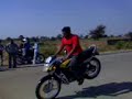 STUNT