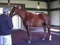 Congaree @ Adena Springs 2006