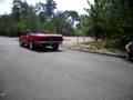 videos de delire en mustang