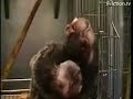 Stop animal experimentation :WARNING: SHOCKING IMAGES Stop animal experimentation :WARNING: SHOCKING IMAGES
