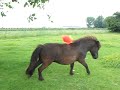 Saros en Welpie Saros en Welpie