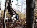 Destruction of a cluster munition bomblet Destruction of a cluster munition bomblet