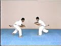 Advanced Capoeira. Mestre Paulao Ceara. 04