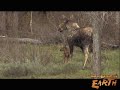 Guns in National Parks?