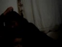 meus bebes