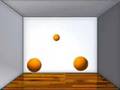 3d Wii Program