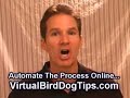 Real Estate Bird Dog- Virtual Bird Dog Blueprint by Ander Proper Real Estate Bird Dog- Virtual Bird Dog Blueprint by Ander Proper
