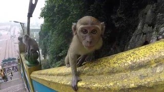 Episode 9 - Malaisie & Singapour