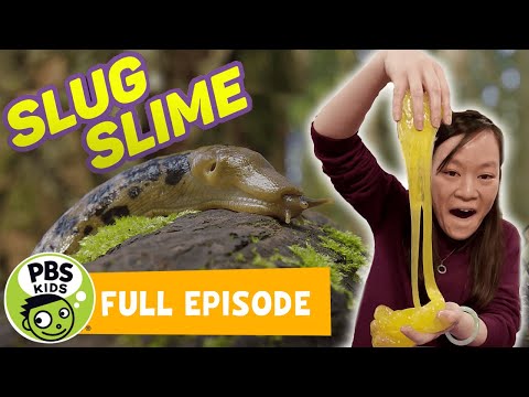 How to make slug slime