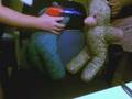 teddys in action
