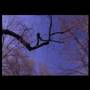 Wax Poetic with Norah Jones - Angels