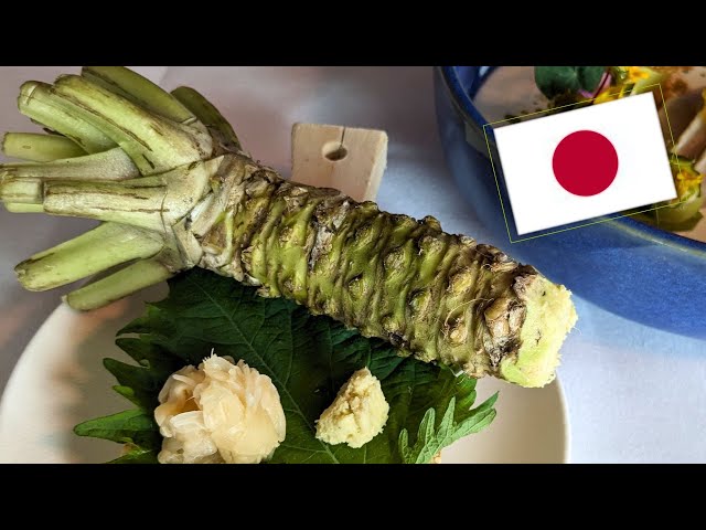 DIY | Echter Wasabi - was macht ihn so besonders?
