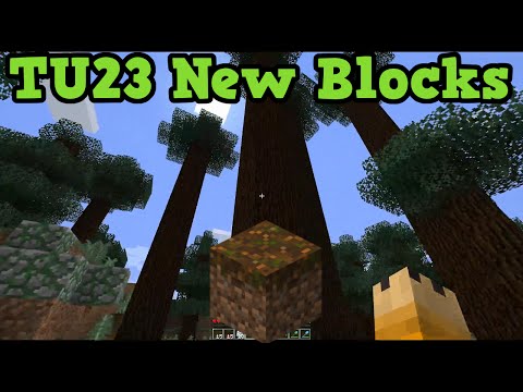 how to check how long you've played minecraft