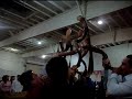 7 shofares.AVI