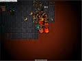 tibia