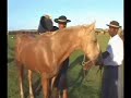 Rio Grande do Sul - Cavalgada Cultural da Costa Doce