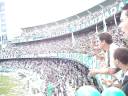 COXA - 30/11/08