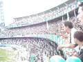 COXA - 30/11/08