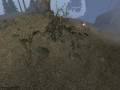 videos de Sgt  Randall odc 2