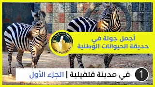 أجمل جولة في حديقة الحيوانات الوطنية في قلقيلية - الجزء الأول