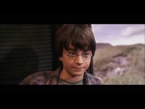 Harry Potter Dub: The Fister (Norsk Dub)