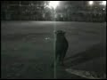 HOLA. CHEKEN ESTE VIDEO DEL TORNEO DE LAZO EN CHOLUL DONDE EL SINALOENSE CAUSO ESTRAGOS. SALUDOS Y CHEKEN EL VIDEO.POR FAVOR DEJEN COMENTARIO O CALIFIQUEN EL VIDEO