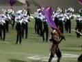 Cavies drum feature